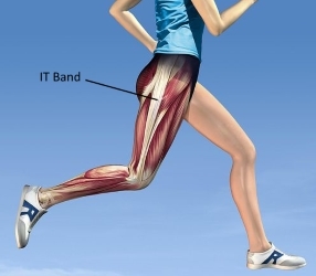 IT Band anatomy