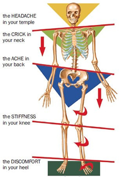 Head To Toe Pain Guide for Massage Therapist