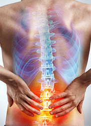 https://www.massageinyork.co.uk/wp-content/uploads/2022/06/lower-back-pain.png