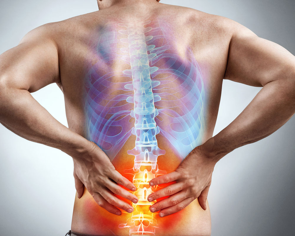 Anatomical illustration of a man with lower back pain, highlighting the lumbar spine and muscles treated by a sports and remedial massage therapist in York.